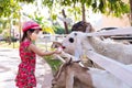 Child wearing mask to prevent coronavirus Covid-19 outbreak, traveling a zoo. Royalty Free Stock Photo