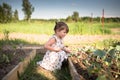 The child is weeding garden,help parents, ecology