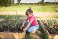 The child is weeding garden,help parents, ecology