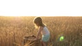 Child with wheat in hand. baby holds the grain on the palm. a small kid is playing grain in a sack in a wheat field