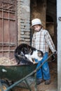 Child carries around a cat in a barrow
