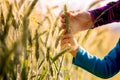 Child and woman holding a ripening ear of wheat Royalty Free Stock Photo