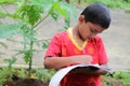 Child is writing something in Book