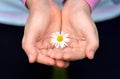 Child's hand with daisy