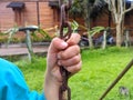 child's hand holding the iron swing rope. atmosphere on the playground Royalty Free Stock Photo