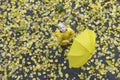 Child in yellow jacket with yellow umbrella stands and looks at the camera against fallen autumn leaves background. Top view Royalty Free Stock Photo