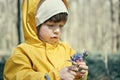 Child in yellow raincoat with hood stands in woodland and holds spring flowers Royalty Free Stock Photo