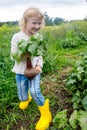 Child in yellow rubber boots, proudly displaying organic beetroot harvest Royalty Free Stock Photo