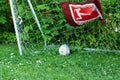 childerns soccer goal with ball and sign of German league. ball in the goal, green meadow