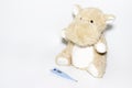Childhood diseases concept, a teddy hippo with means for treatment fever, pain flu cough and sore throat, copy space