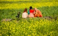 Childhood friends are passing leisure time in the mustard field