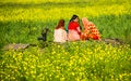 Childhood friends are passing leisure time in the mustard field