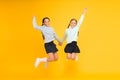 Childhood happiness. School day fun cheerful moments. Kids cute students. Schoolgirls best friends excellent pupils Royalty Free Stock Photo