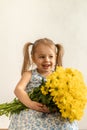 Childhood, holidays, flowers, gifts concept - little cute three year old girl with two ponytails on her head in blue Royalty Free Stock Photo