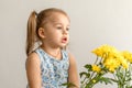 Childhood, holidays, flowers, gifts concept - little cute three year old girl with two ponytails on her head in blue Royalty Free Stock Photo