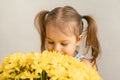 Childhood, holidays, flowers, gifts concept - little cute three year old girl with two ponytails on her head in blue Royalty Free Stock Photo