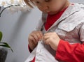 Childhood independence concept ,little boy buttoning on shirt, fastening his buttons , on white gray background. The Royalty Free Stock Photo