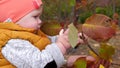 Childhood, kid drool and holds branch tree with yellow leaves close-up in autumn park near mothers hands