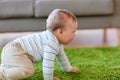 Baby boy crawling on floor at home Royalty Free Stock Photo