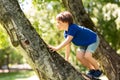 Happy little boy climbing tree at park Royalty Free Stock Photo