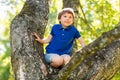 Happy little boy climbing tree at park Royalty Free Stock Photo