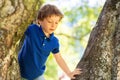 Happy little boy climbing tree at park Royalty Free Stock Photo