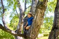 Happy little boy climbing tree at park Royalty Free Stock Photo