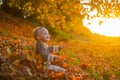 Childhood memories. Child autumn leaves background. Warm moments of autumn. Toddler boy blue eyes enjoy autumn. Small Royalty Free Stock Photo