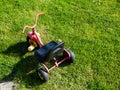 Childhood. Small red tricycle cycle toy on grass.