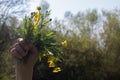 Childhood symbol with a bunch of wild flowers expressing biodiversity power Royalty Free Stock Photo