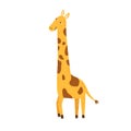 Childish cub zoo animal portrait. Cute, funny, African giraffe. Scandinavian character for nursery. Design element for t Royalty Free Stock Photo