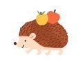 Childish cute hedgehog carry apples. Funny urchin in scandinavian style. Flat vector cartoon illustration of lovely