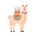 Childish cute lama standing with celebratory birthday cake on back. Funny alpaca celebrating holiday. Flat vector