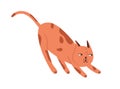 Childish, hunting, playful cat portrait. Cute, funny, spying pet, red spotted kitten. Character for t shirt print