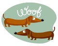 Childish illustration with cute dachshund dogs and english text woof. Happy concept, colorful background, print