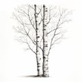 Childlike Drawing Of A Birch Tree: Simple And Incomplete Royalty Free Stock Photo