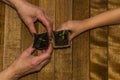 Children and adults hands holding sprouts in peat pots Royalty Free Stock Photo