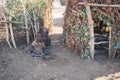 Children from the African tribe Dasanesh, Omorate, Omo Valley, Ethiopia Royalty Free Stock Photo