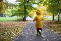 Children in the autumn park walk
