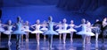 Children ballerina dancing ballet Swan Lake