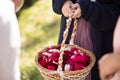 Children with a basket throwing rose petals at a wedding Royalty Free Stock Photo