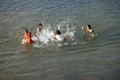 Children bathe in the river