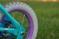 Children bicycle wheel on green grass, close up photo