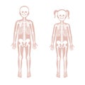 Children boy and girl skeleton anatomy