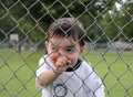 Children: Boy Peering Through Fence Royalty Free Stock Photo