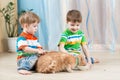 Children boys feeding red cat Royalty Free Stock Photo