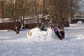 Children build a fortress out of snow at sunset on a winter day