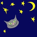 Children card cats head, moon, stars on dark blue background. Handdrawn funny kitty face in night sky, vector eps 10