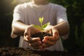 children caring young plant. hand holding small tree in morning light