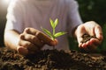 children caring young plant on soil in garden